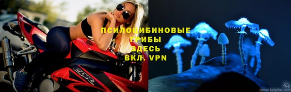 ГАЛЛЮЦИНОГЕННЫЕ ГРИБЫ Киренск