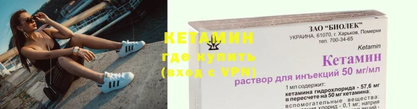 сатива Карпинск