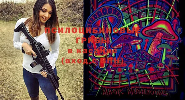 а пвп мука Козловка