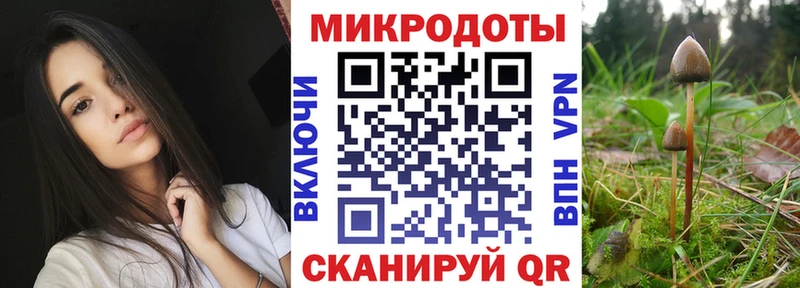 Псилоцибиновые грибы GOLDEN TEACHER  Кимовск 